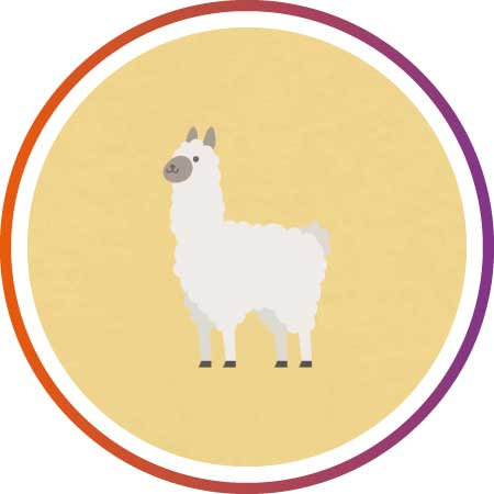 🦙 ANIMALS DAMES 🦆