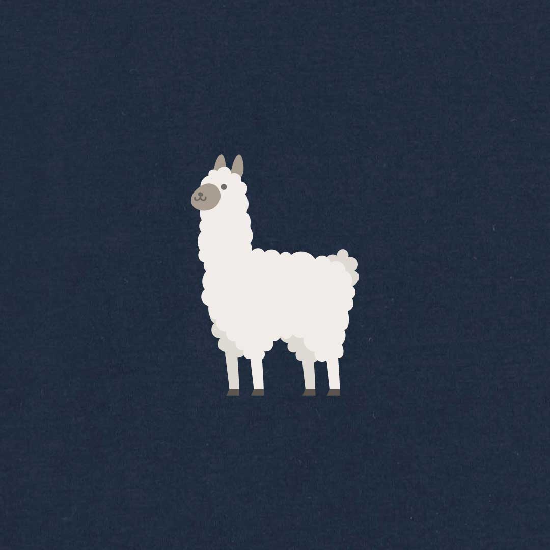 Alpaca Women's T-shirt | Navy
