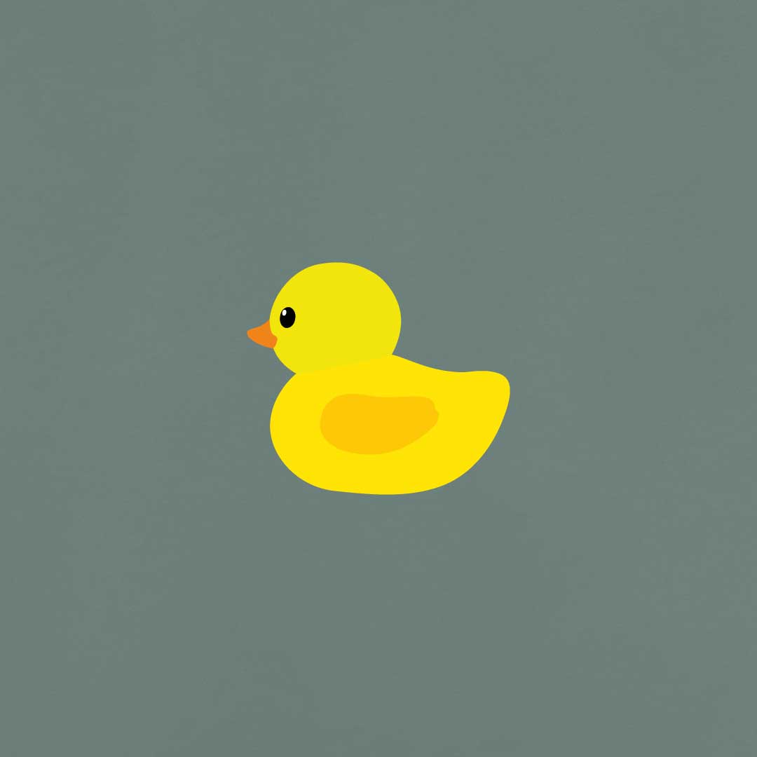 Bad Duck Women's T-shirt | Green Bay