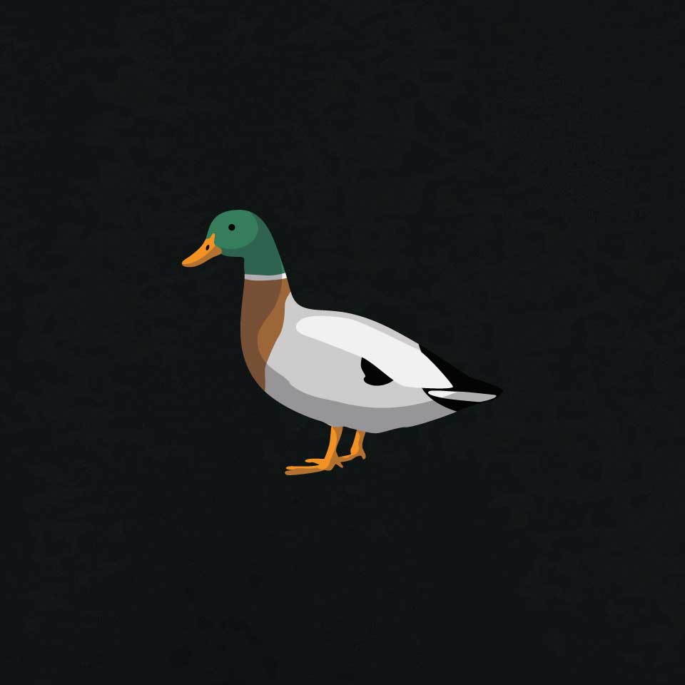 Duck Women's T-shirt | Black