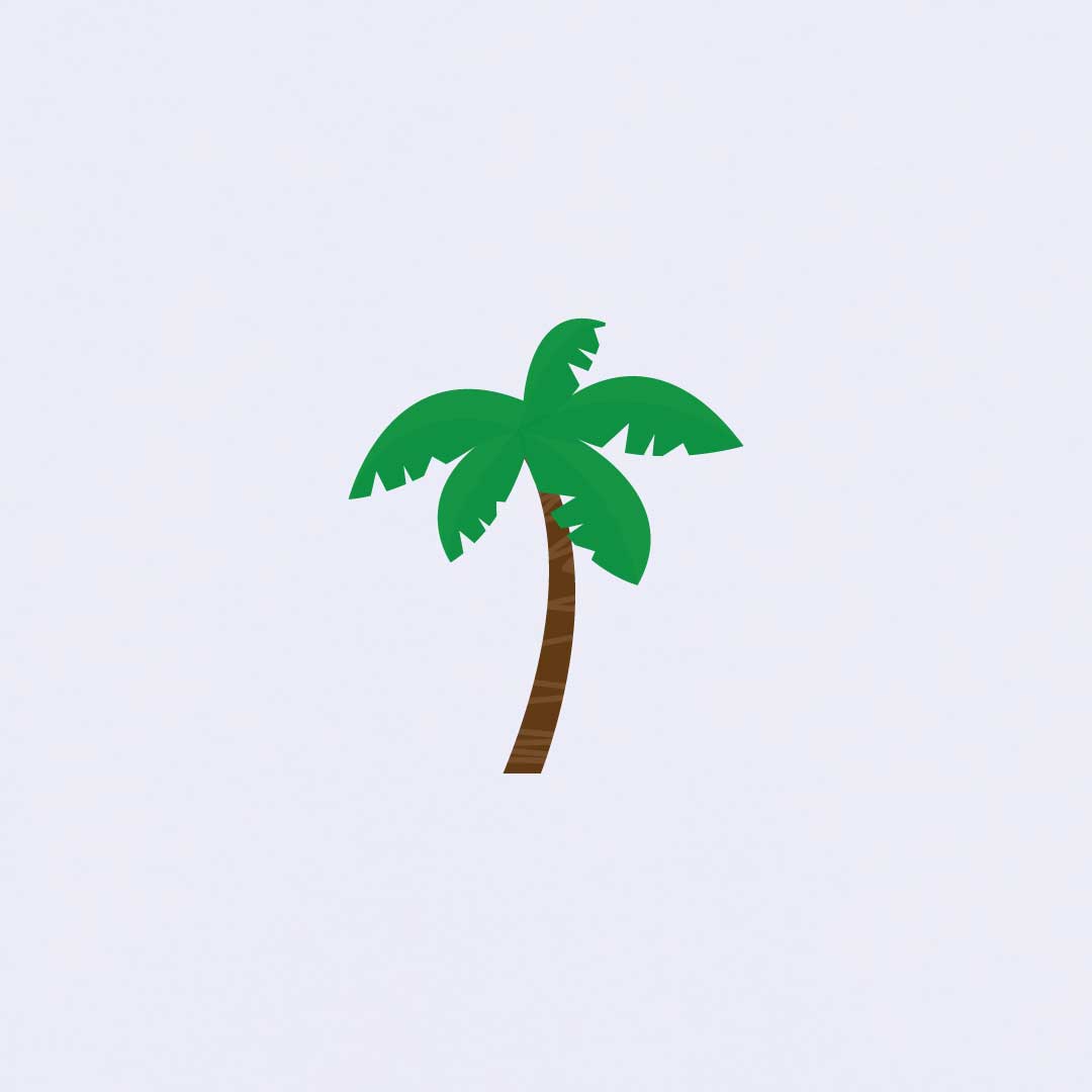 Palm Tree Women's T-shirt | White