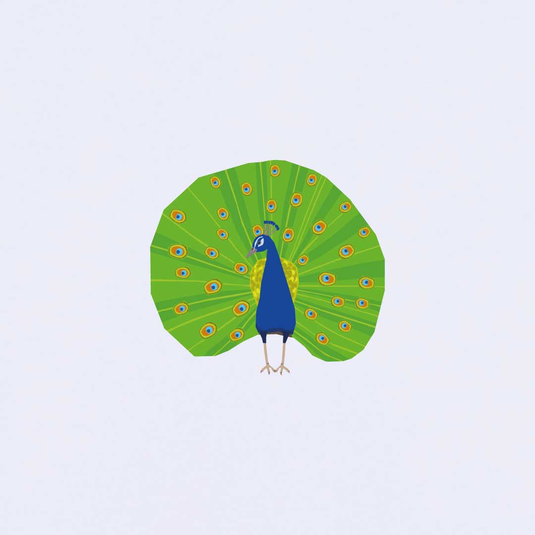 Peacock Women's T-shirt | White