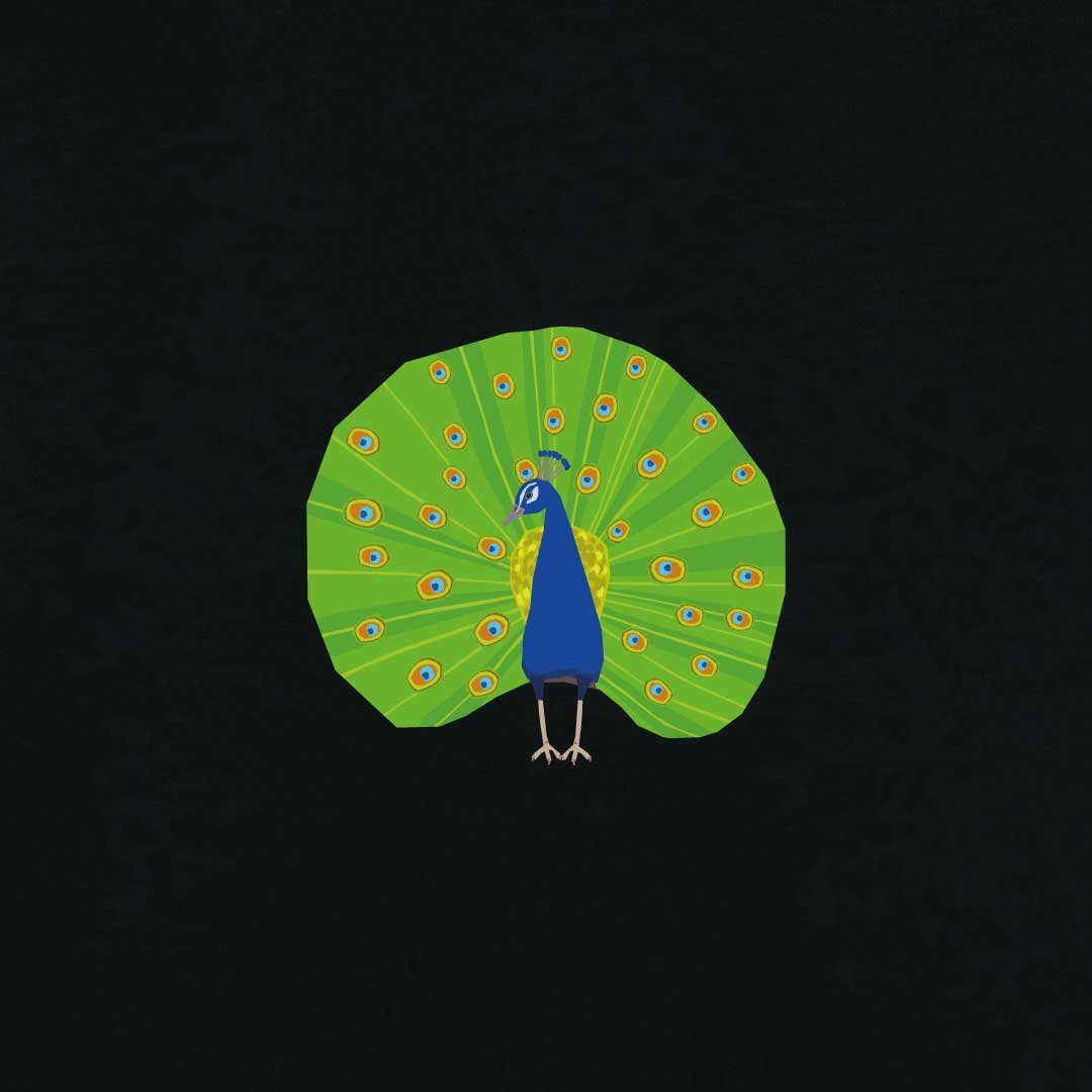 Peacock Women's T-shirt | Black