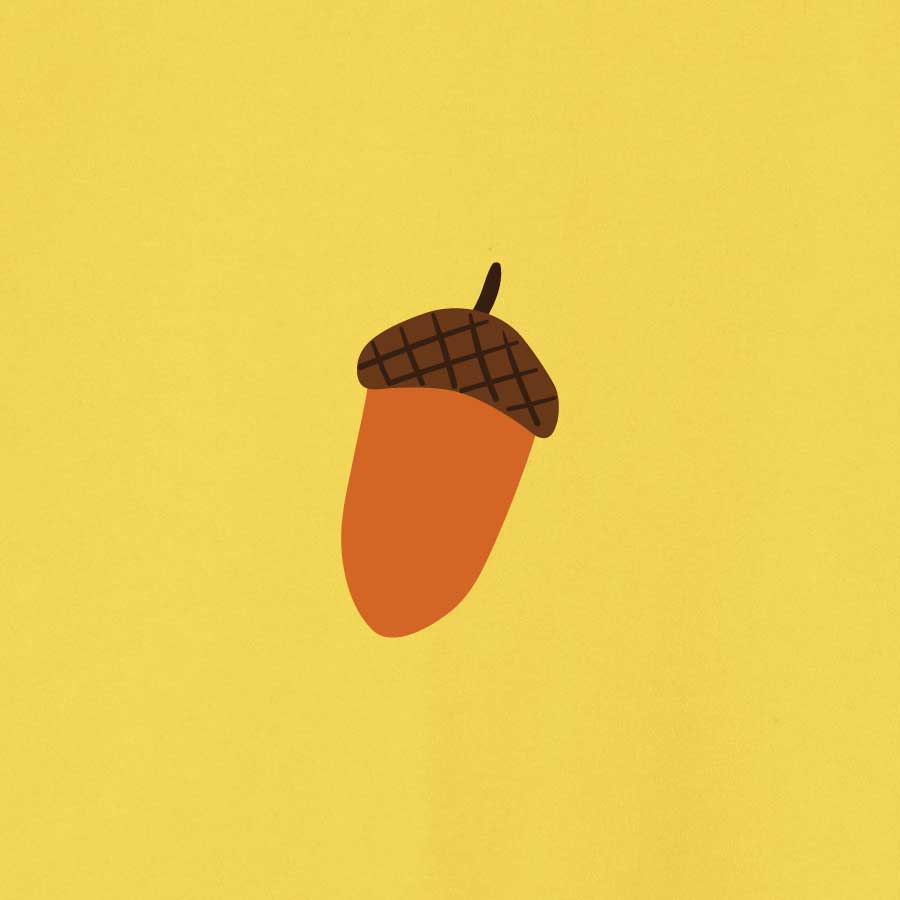 Acorn Sweater | Yellow