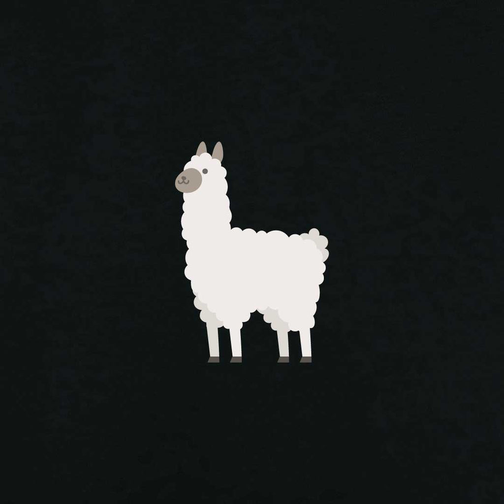 Alpaca T-shirt | Black