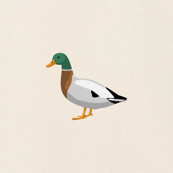 Duck Dames Hoodie | Off White