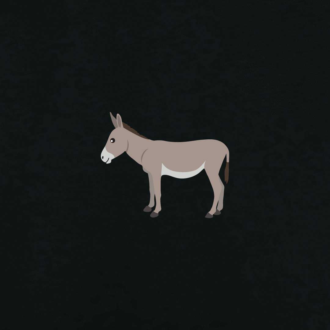 Donkey T-shirt | Black